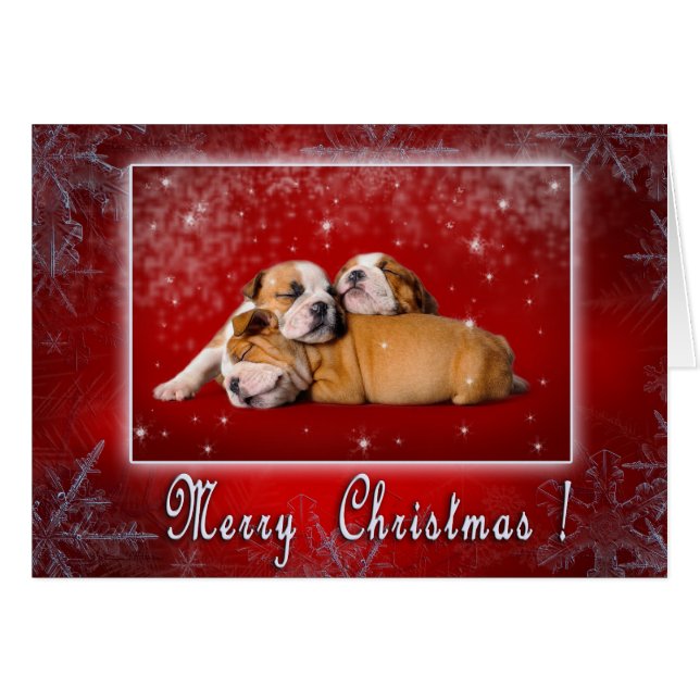 English Bulldog Weihnachtskarte (Vorderseite (Horizontal))