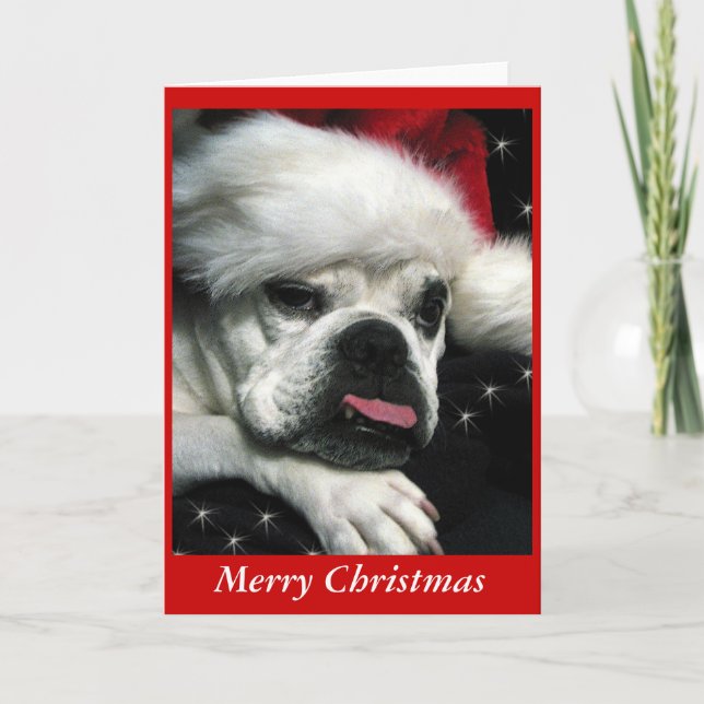 English Bulldog Weihnachtskarte. Feiertagskarte (Vorderseite)