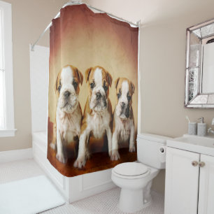 English Bulldog Welpen wirklich Niedlich Duschvorhang