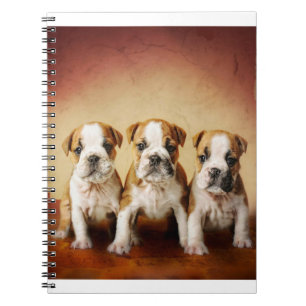 English Bulldog Welpen wirklich Niedlich Notizblock