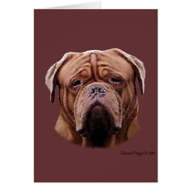 English Bulldogs II (Vorne)