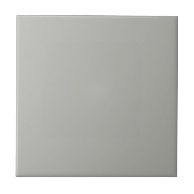 English Chelsea Gray Square Küche und Badezimmer Fliese (Vorderseite)