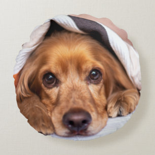 English Cocker Spanel Dog Rundes Kissen
