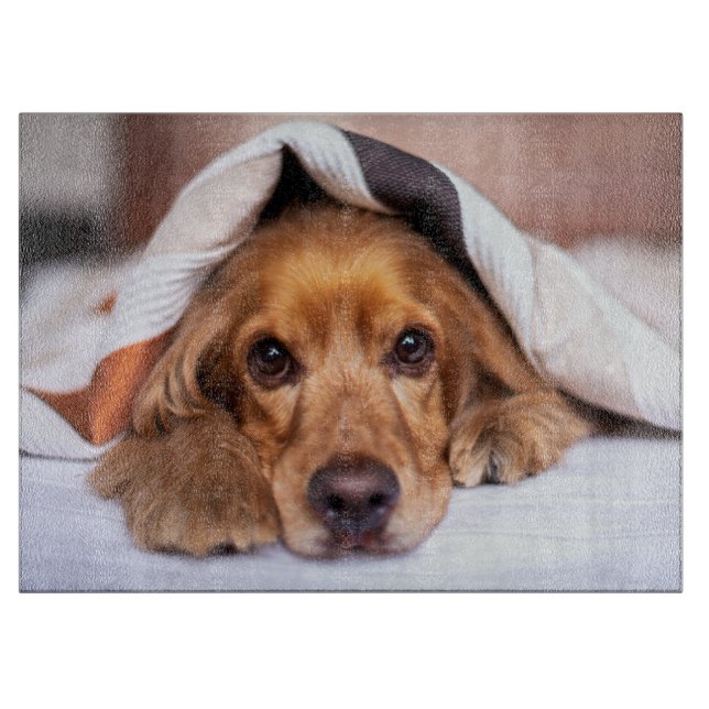 English Cocker Spanel Dog Schneidebrett (Vorderseite)