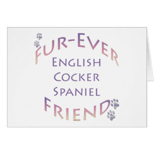 English Cocker Spanel Furever