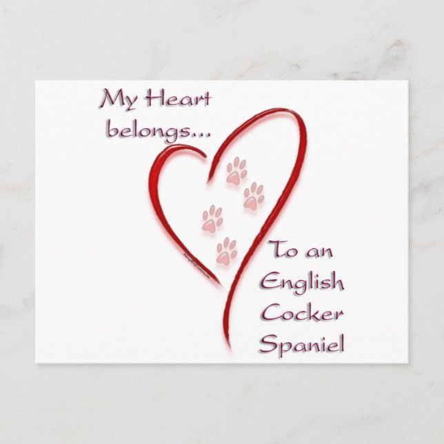 English Cocker Spanel Heart Belongs Postkarte (Vorderseite)