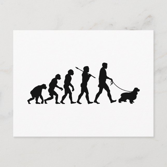 English Cocker Spanel Postkarte (Vorderseite)