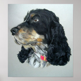 English Cocker Spaniel Dog Poster Print