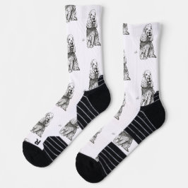 ENGLISH COCKER SPANIEL SOCKEN