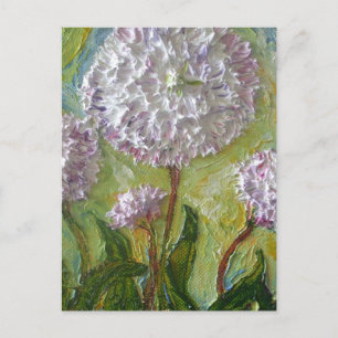 English Daisy Postkarte