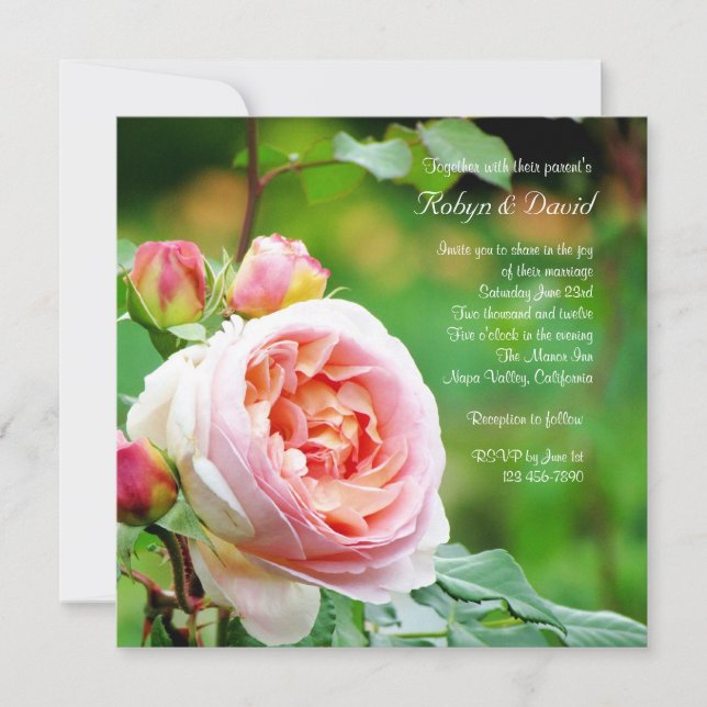 English Garden Rose Hochzeit Einladung (Vorderseite)