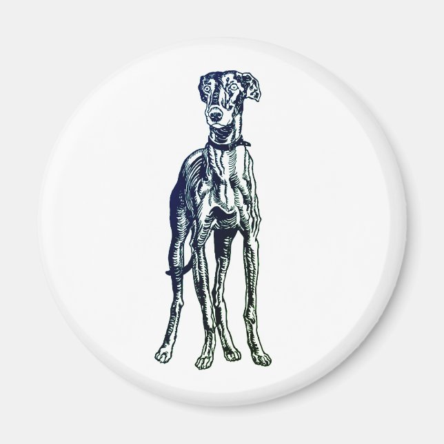 English Greyhound Breed Magnet (Vorne)