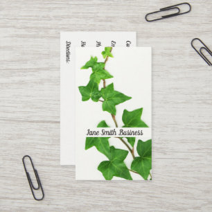English Ivy White Background Green Vine Visitenkarte