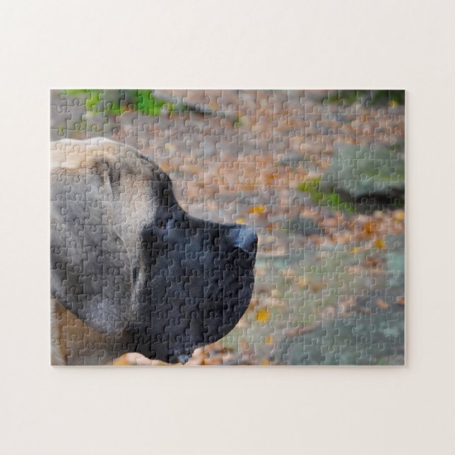 English Mastiff. (Horizontal)