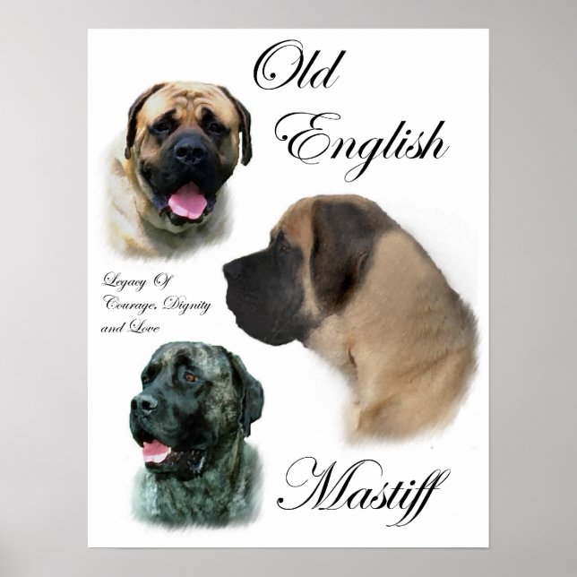 English Mastiff Art Prints Poster (Vorne)