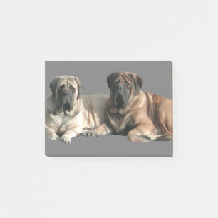 English Mastiff Freunde Post-it Klebezettel