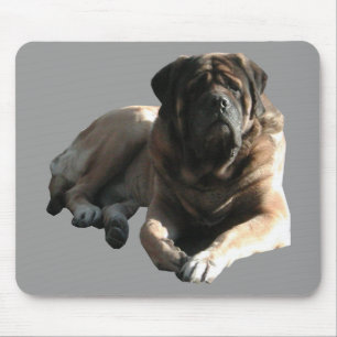 English Mastiff große Dogge Mousepad