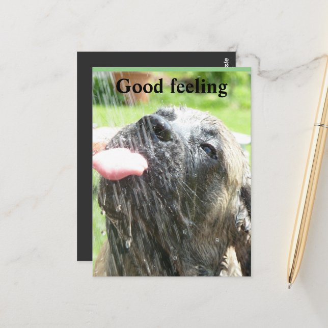 English Mastiff gutes Gefühl  Postkarte (Vorderseite/Rückseite Beispiel)
