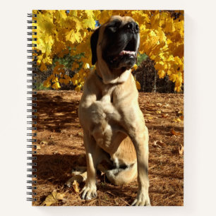 English Mastiff Spiralnotebook Notizbuch