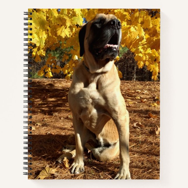 English Mastiff Spiralnotebook Notizbuch (Vorderseite)
