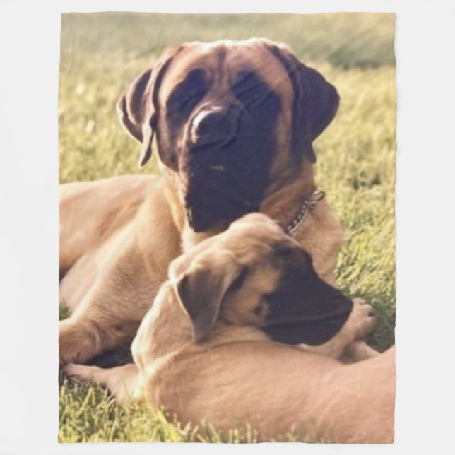 ENGLISH MASTIFFS FLEECEDECKE (Vorderseite)