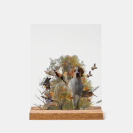 English Pointer  Acrylschild