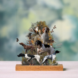 English Pointer  Acrylschild