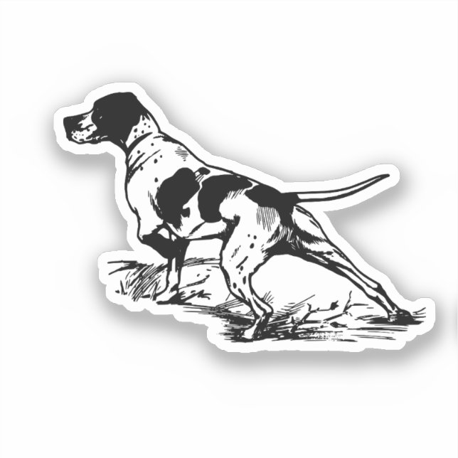 English Pointer Aufkleber (Vorderseite)