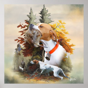 English Pointer Poster