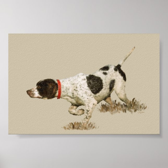 English Pointer Poster (Vorne)