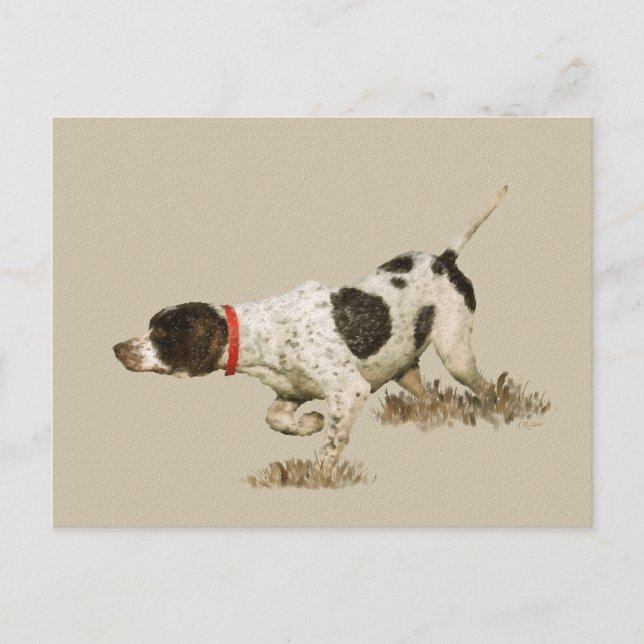 English Pointer Postkarte (Vorderseite)
