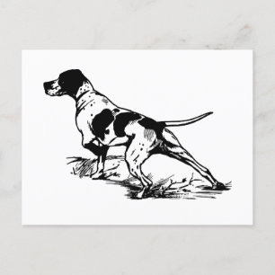 English Pointer Postkarte