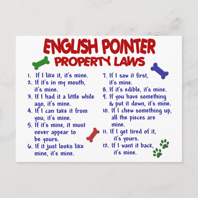 ENGLISH POINTER Property Laws 2 Postkarte (Vorderseite)