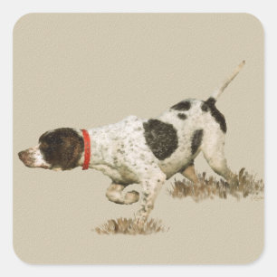 English Pointer Quadratischer Aufkleber