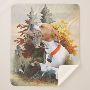 English Pointer Sherpadecke