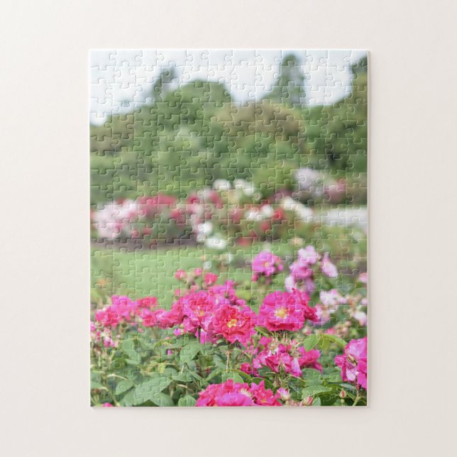 English Rose Garden Kew Gardens London UK (Vertikal)