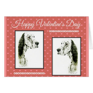 English Setter