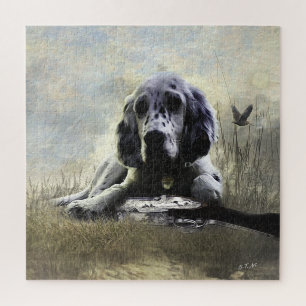 English Setter