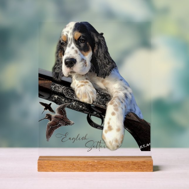 English Setter  Acrylschild (Neutral)
