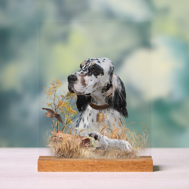 English Setter  Acrylschild (Neutral)