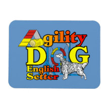 English Setter Agility