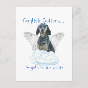English Setter Angel Postkarte