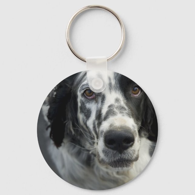 English Setter Dog Schlüsselanhänger (Vorderseite)