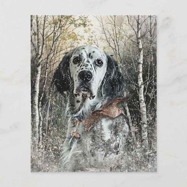 English Setter  Flyer (Vorne)