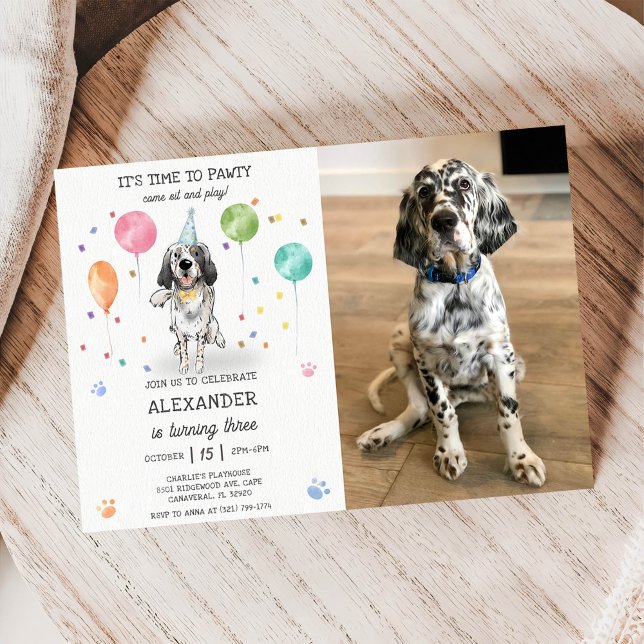 English Setter Pawty Doppy Welpe Birthday Blue Fot Einladung (Von Creator hochgeladen)