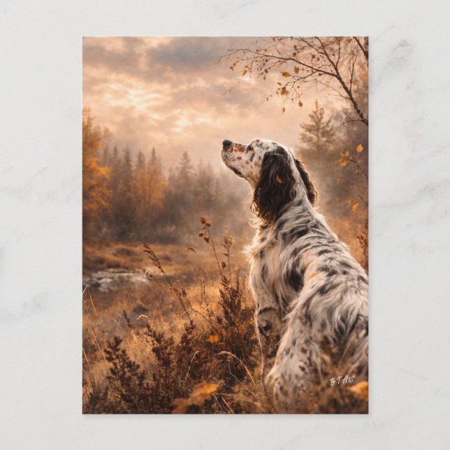 English Setter Postkarte (Vorderseite)