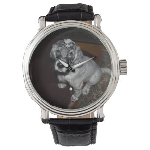 English Setter Puppy Armbanduhr