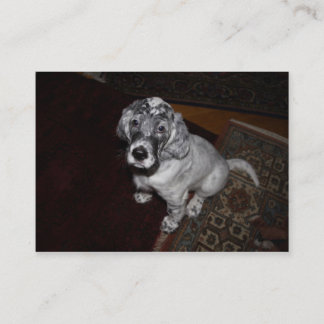 English Setter Puppy Visitenkarte