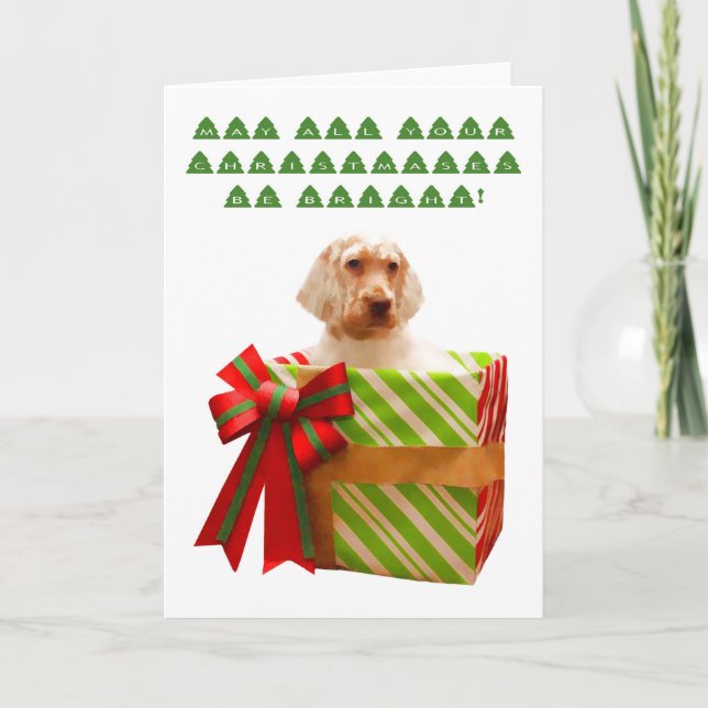 English Setter Puppy Weihnachtskarte Feiertagskarte (Vorderseite)