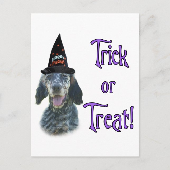 English Setter Trick Postkarte (Vorderseite)